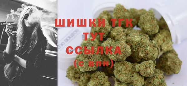 эйфоретик Богородицк