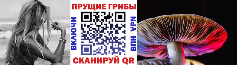 где найти наркотики  Назарово  Галлюциногенные грибы ЛСД 